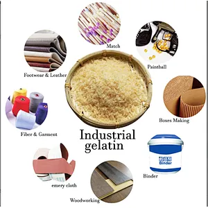 Gelatin Food Grade Gelatin Bloom Best Quality Edible Gelatin Price